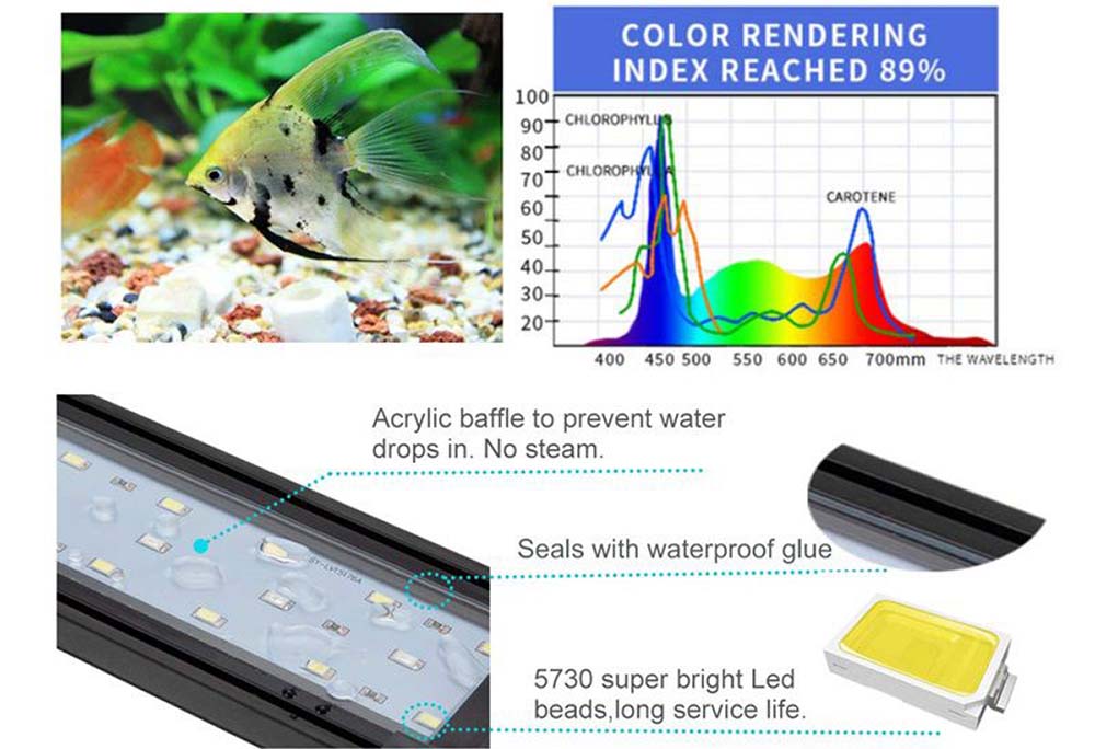 which light is best for fish tank