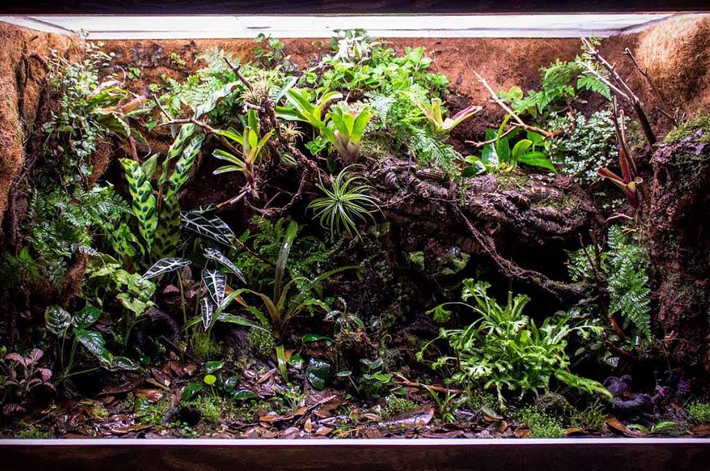 vivarium tank