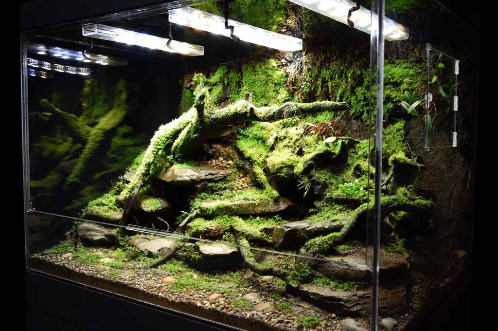 types of vivarium tank