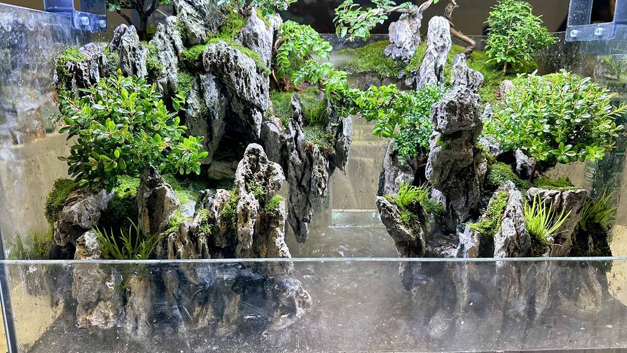 paludarium build