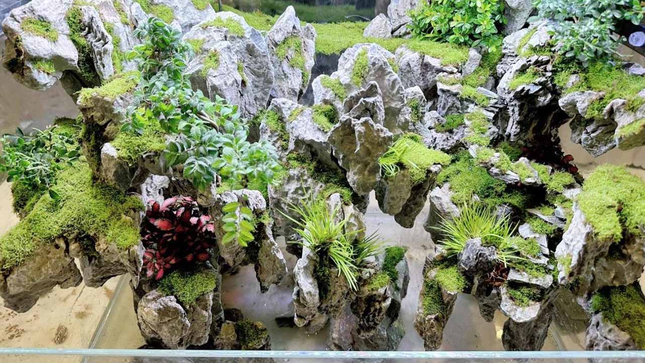 paludarium animals