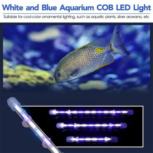 Aquarium White and blue COB light