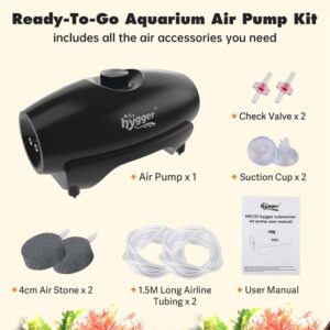 Aquarium air pump kit with air stones