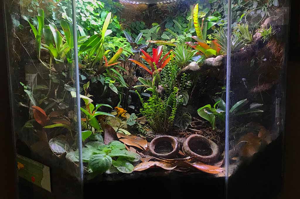 Vivarium Tank