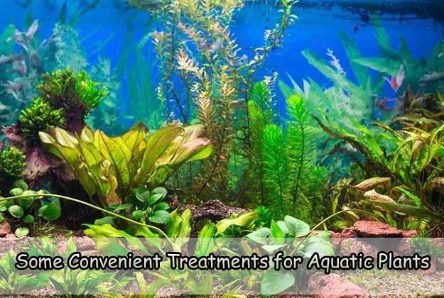 Some Convenient Treatments for Aquatic Plants