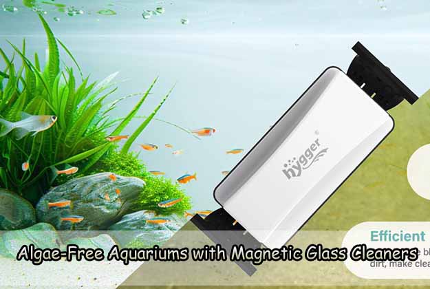 Algae-Free Aquariums with Magnetic Glass Cleaners