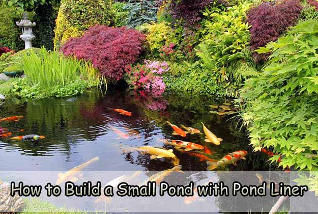 How to Build a Small Pond with Pond Liner