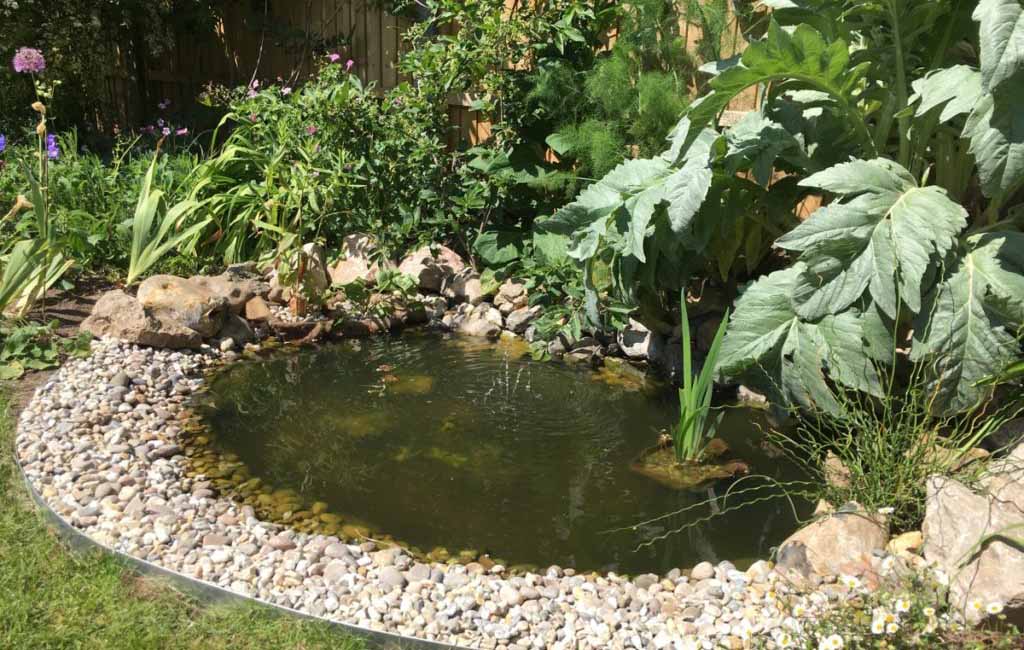 Small Pond with Pond Liner