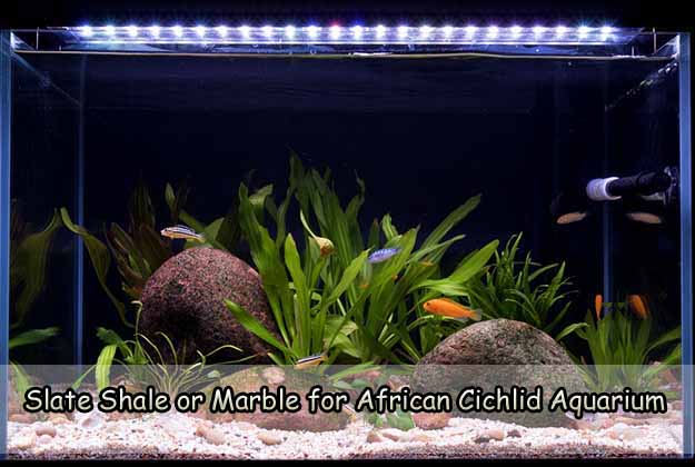 Slate Shale or Marble for African Cichlid Aquarium