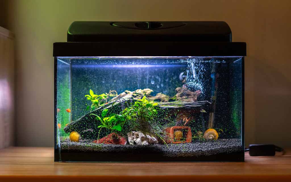 Place an aquarium at home