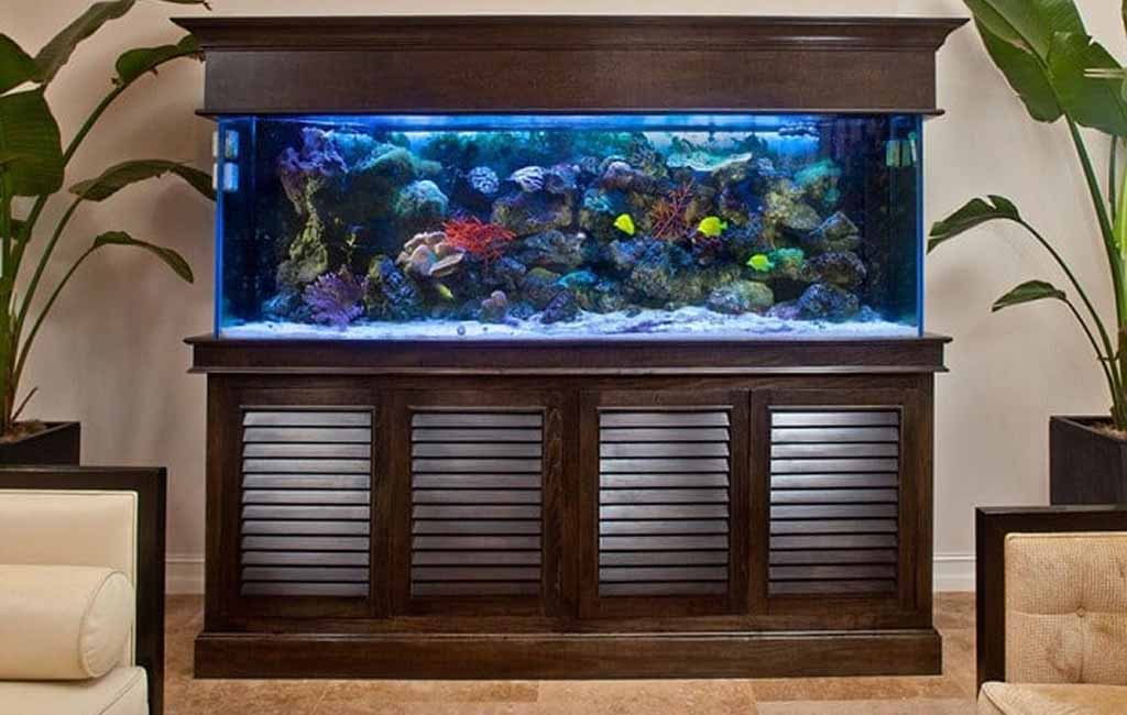 Home aquarium placement