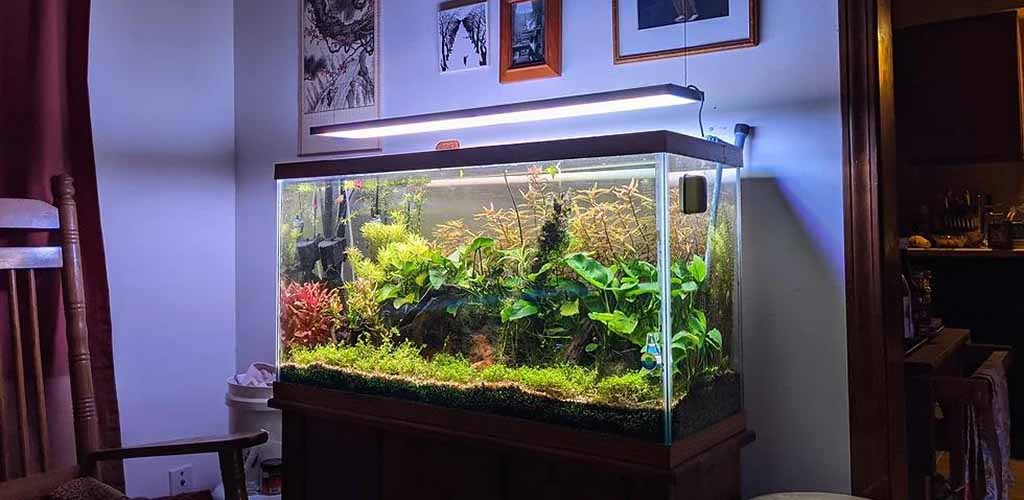 where to place an aquarium