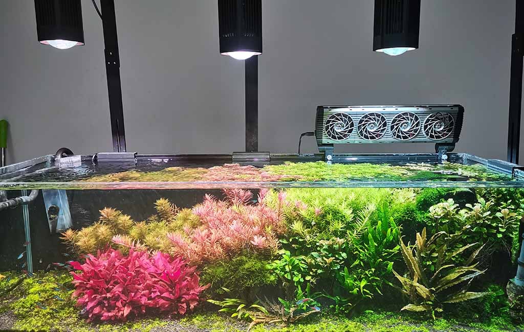 nutrients in aquarium