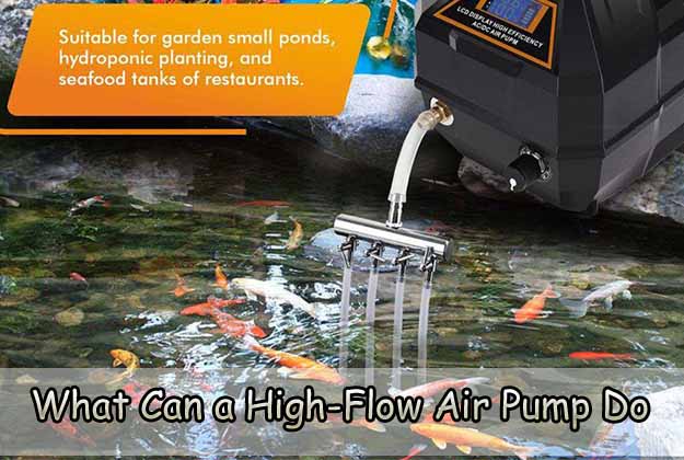 What Can a High-Flow Air Pump Do