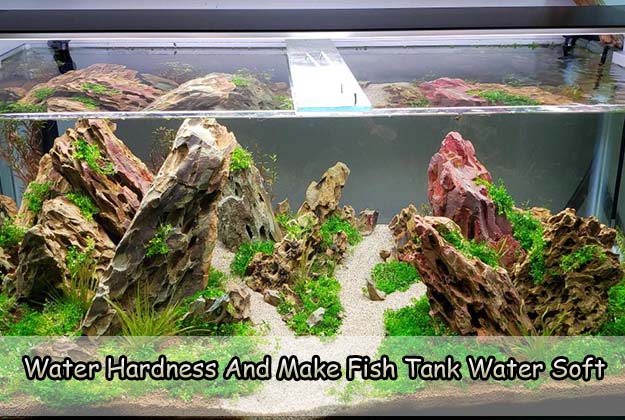 Water Hardness And Ways to Make Fish Tank Water Soft