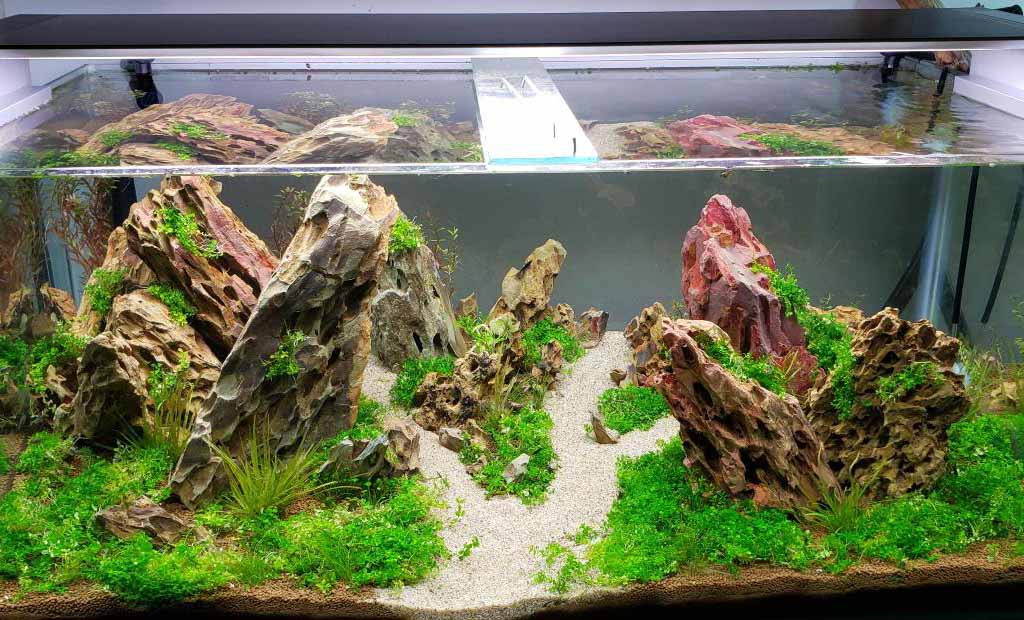 Ways to make fish tank water soft