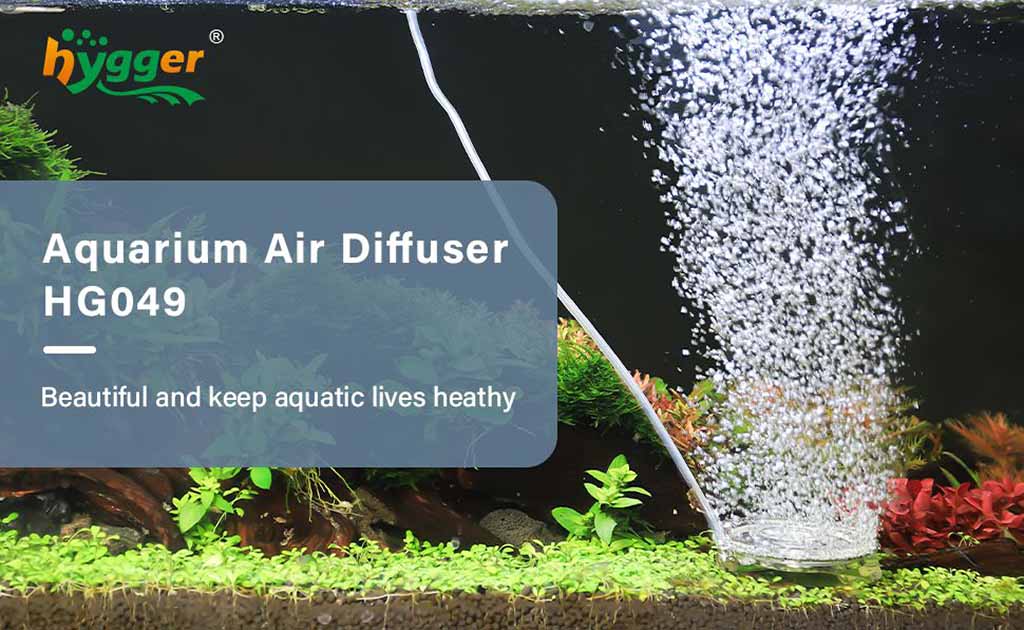 Clean air diffuser