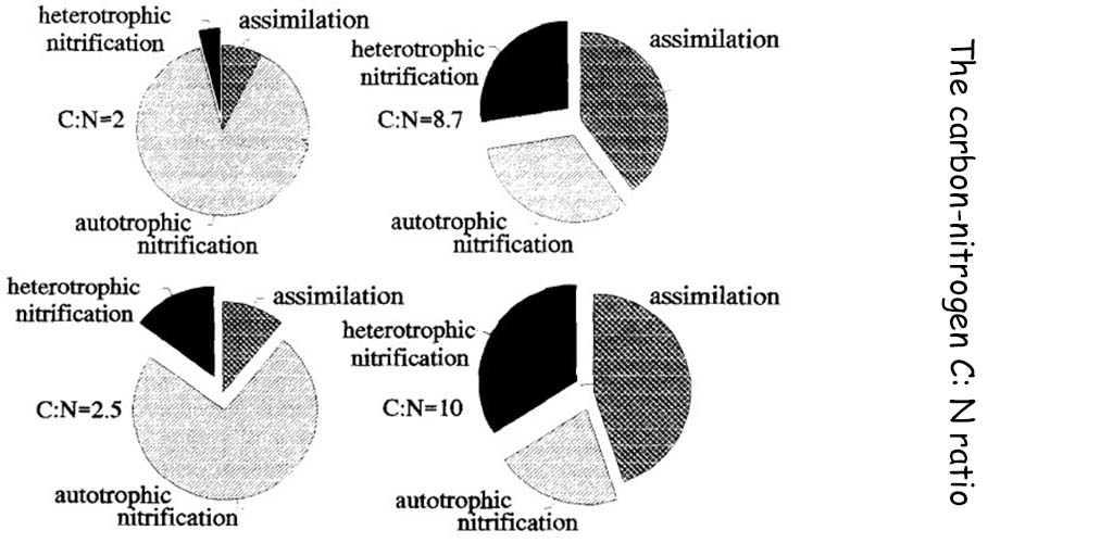 The optimum C:N ratio