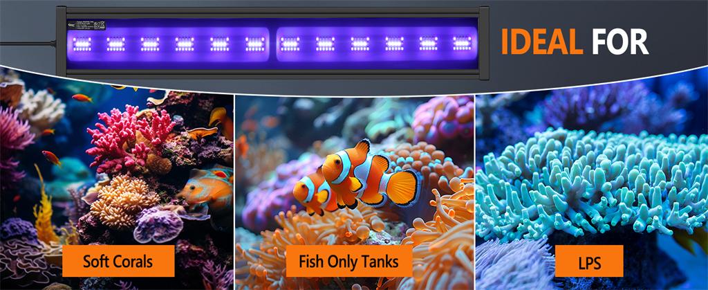hygger 173 light for corals