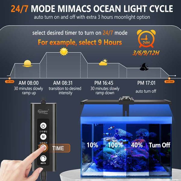 Coral Reef Light Cycle