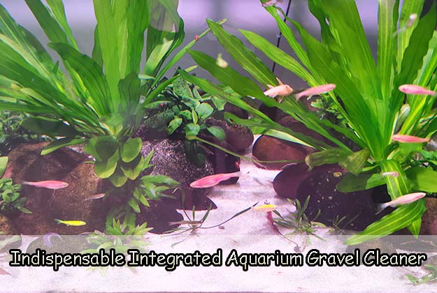 Indispensable Integrated Aquarium Gravel Cleaner