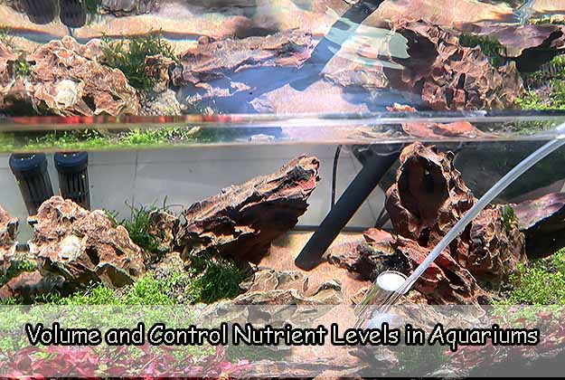 Volume and Control Nutrient Levels in Aquariums